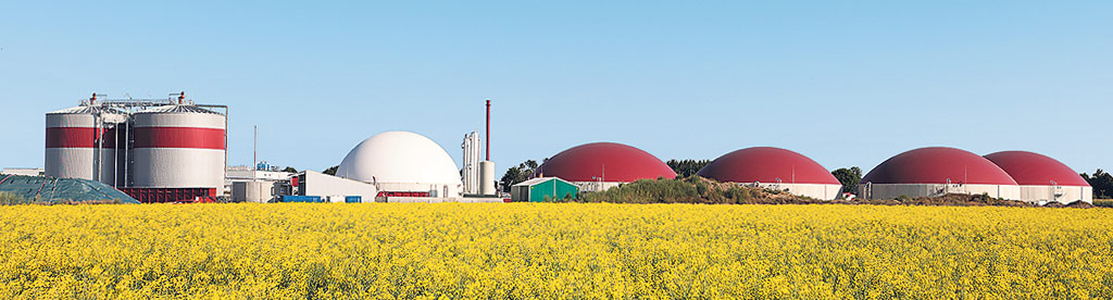 Die Funktionsweise der Biogasanlage